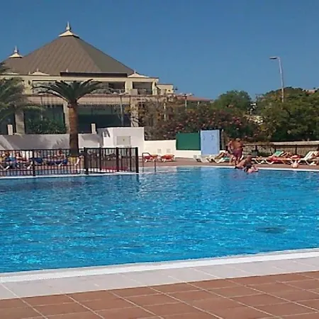 In Torres Del Sol Griffin Near The Apartment Arona (Tenerife)