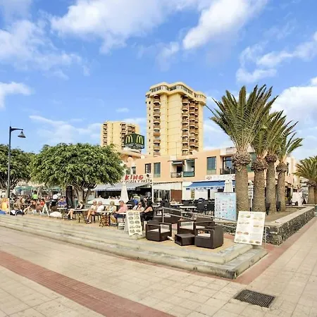 In Torres Del Sol Griffin Near The Apartment *