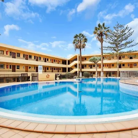 In Torres Del Sol Griffin Near The Arona (Tenerife)