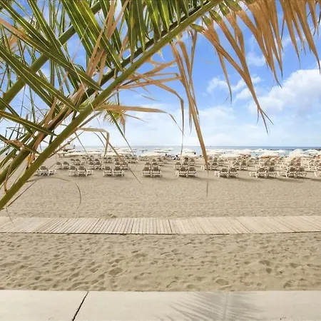 In Torres Del Sol Griffin Near The Arona (Tenerife)