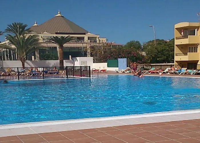 In Torres Del Sol Griffin Near The Apartment Arona (Tenerife)